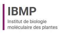 Logo https://www.ibmp.cnrs.fr/